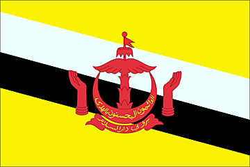 Brunei Flag